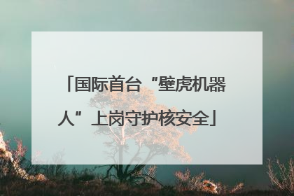 国际首台“壁虎机器人”上岗守护核安全