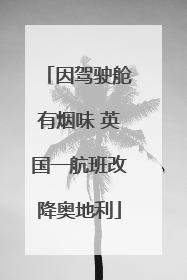 因驾驶舱有烟味 英国一航班改降奥地利