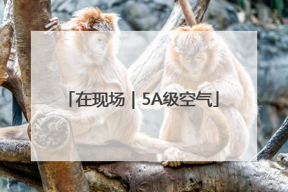 在现场｜5A级空气