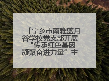 宁乡市南雅蓝月谷学校党支部开展“传承红色基因 凝聚奋进力量”主题党日活动