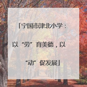 宁国市津北小学：以“劳”育美德，以“动”促发展