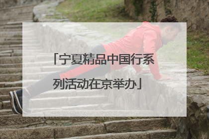 宁夏精品中国行系列活动在京举办