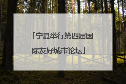 宁夏举行第四届国际友好城市论坛
