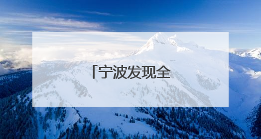宁波发现全新水母物种