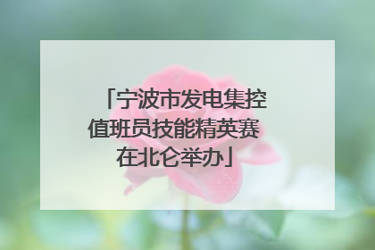 宁波市发电集控值班员技能精英赛在北仑举办