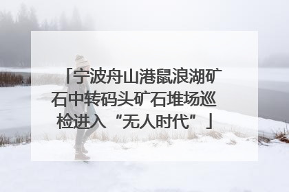 宁波舟山港鼠浪湖矿石中转码头矿石堆场巡检进入“无人时代”