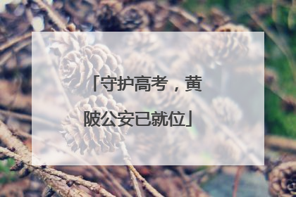 守护高考，黄陂公安已就位