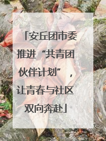 安丘团市委推进“共青团伙伴计划”，让青春与社区双向奔赴