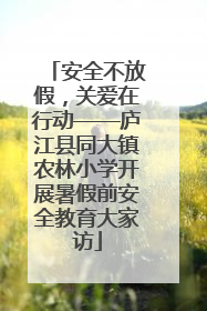 安全不放假，关爱在行动——庐江县同大镇农林小学开展暑假前安全教育大家访