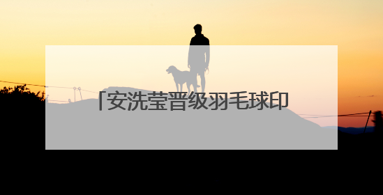 安洗莹晋级羽毛球印尼公开赛女单决赛