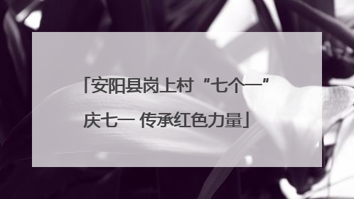 安阳县岗上村“七个一”庆七一 传承红色力量