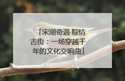 宋潮奇遇·粽情古街：一场穿越千年的文化交响曲