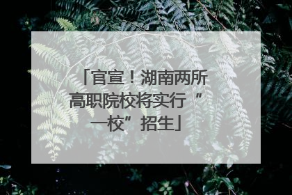 官宣！湖南两所高职院校将实行“一校”招生