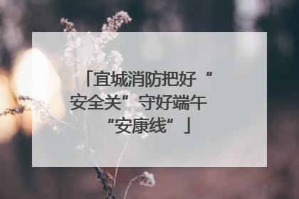 宜城消防把好“安全关”守好端午“安康线”
