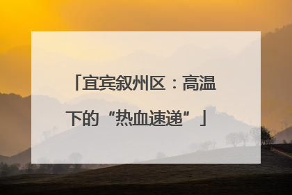 宜宾叙州区：高温下的“热血速递”