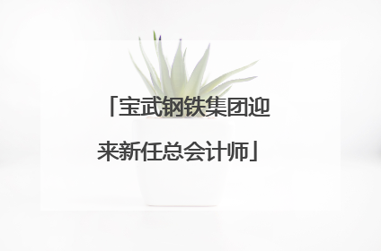 宝武钢铁集团迎来新任总会计师