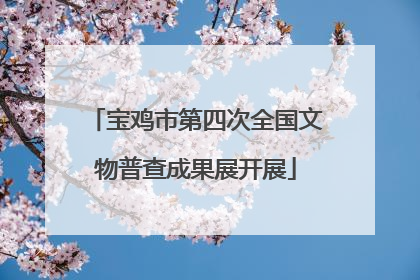 宝鸡市第四次全国文物普查成果展开展