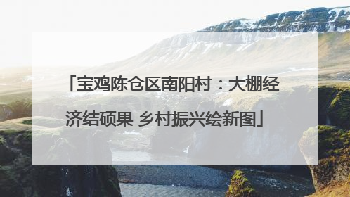 宝鸡陈仓区南阳村：大棚经济结硕果 乡村振兴绘新图