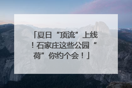 夏日“顶流”上线！石家庄这些公园“荷”你约个会！