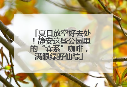 夏日放空好去处！静安这些公园里的“森系”咖啡，满眼绿野仙踪
