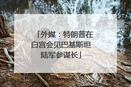 外媒：特朗普在白宫会见巴基斯坦陆军参谋长