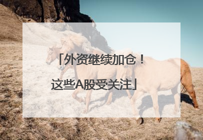 外资继续加仓！这些A股受关注