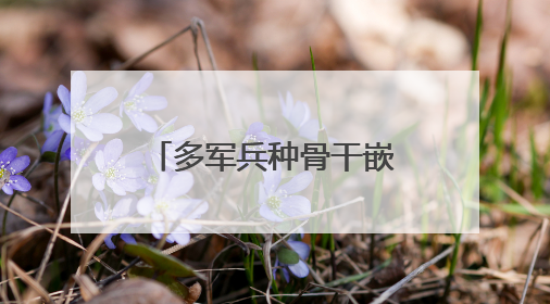 多军兵种骨干嵌入远海编队训练