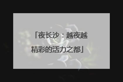 夜长沙：越夜越精彩的活力之都