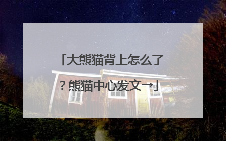 大熊猫背上怎么了？熊猫中心发文→