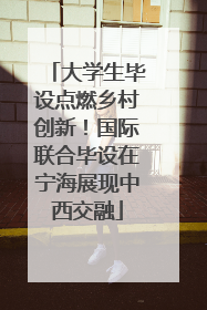 大学生毕设点燃乡村创新！国际联合毕设在宁海展现中西交融