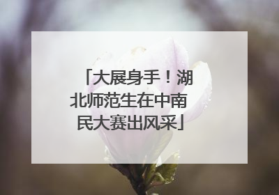 大展身手！湖北师范生在中南民大赛出风采