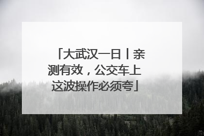 大武汉一日丨亲测有效，公交车上这波操作必须夸