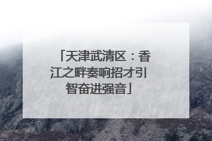 天津武清区：香江之畔奏响招才引智奋进强音
