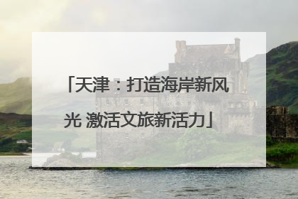 天津：打造海岸新风光 激活文旅新活力