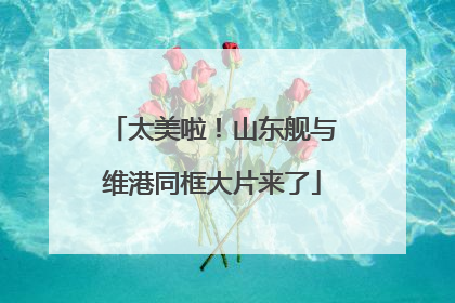 太美啦！山东舰与维港同框大片来了