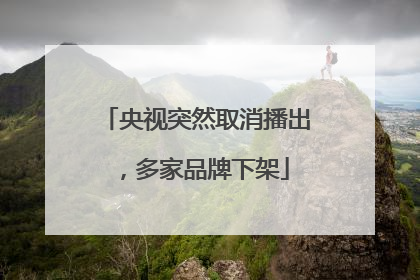 央视突然取消播出，多家品牌下架