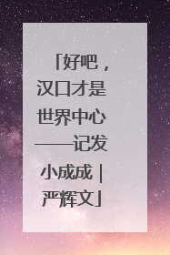 好吧，汉口才是世界中心——记发小成成｜严辉文