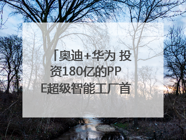 奥迪+华为 投资180亿的PPE超级智能工厂首款产品要搞大事情？｜粤港澳车展