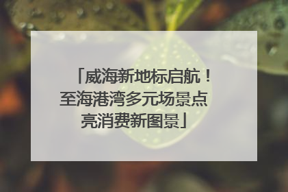 威海新地标启航！至海港湾多元场景点亮消费新图景