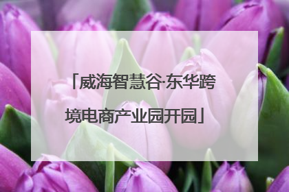 威海智慧谷·东华跨境电商产业园开园