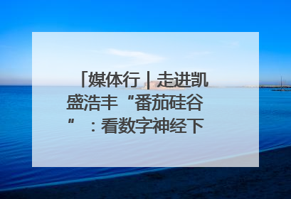媒体行｜走进凯盛浩丰“番茄硅谷”：看数字神经下的精准农业