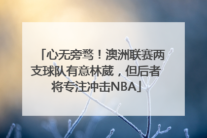 心无旁骛！澳洲联赛两支球队有意林葳，但后者将专注冲击NBA