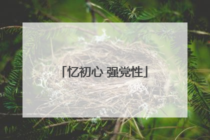 忆初心 强党性