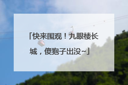 快来围观！九眼楼长城，傻狍子出没~