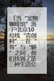 当“宠物咖啡馆”落户北京10号线“青创村”：在“卷”与“躺”之间，他们找到了第三种生活公式
