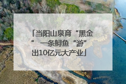 当阳山泉育“黑金” 一条鲟鱼“游”出10亿元大产业