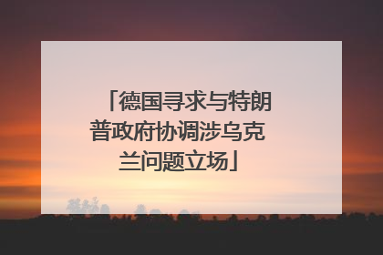 德国寻求与特朗普政府协调涉乌克兰问题立场