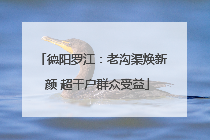 德阳罗江：老沟渠焕新颜 超千户群众受益