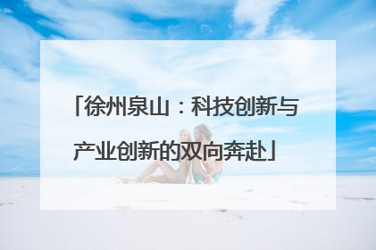 徐州泉山：科技创新与产业创新的双向奔赴
