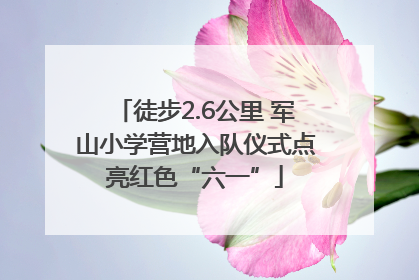 徒步2.6公里 军山小学营地入队仪式点亮红色“六一”